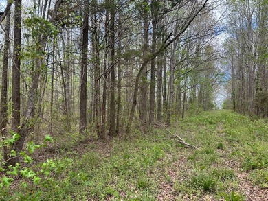 This 35 acres checks a lot of boxes including a 4+ acre private - photo 11