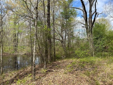 This 35 acres checks a lot of boxes including a 4+ acre private - photo 12
