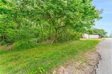 Nestled near beautiful Beaver Lake, this 0.27-acre lot presents - photo 3