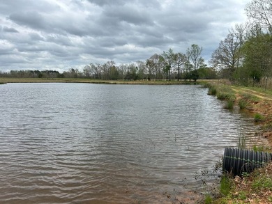 This 35 acres checks a lot of boxes including a 4+ acre private - photo 14