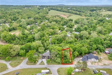 Nestled near beautiful Beaver Lake, this 0.27-acre lot presents - photo 6