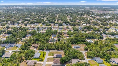 Welcome to your piece of paradise! No HOA fees, no flood - photo 48