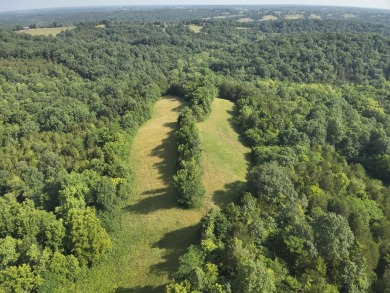 Lake Acreage For Sale in Falmouth, Kentucky