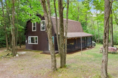 Lake Home For Sale in Tustin, Michigan