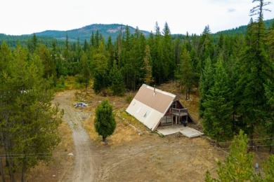 Lake Home For Sale in Colville, Washington