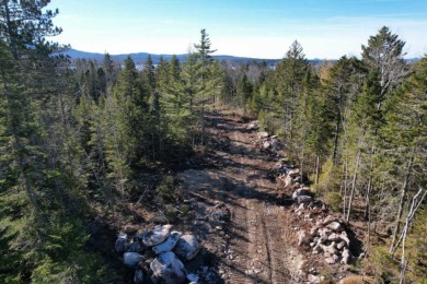 Lake Lot For Sale in Rangeley Plt, Maine