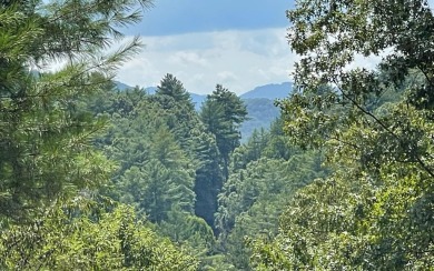 Hiwassee River - Clay County Lot For Sale in Hayesville North Carolina