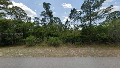 Lake June in Winter Lot For Sale in Lake Placid Florida