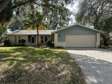 Lake Tohopekaliga Home For Sale in Kissimmee Florida