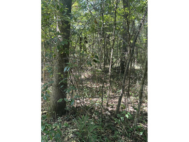 (private lake, pond, coastal) Lot For Sale in Hattiesburg Mississippi