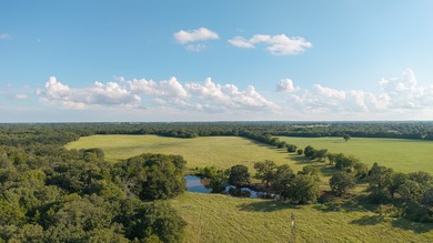Welcome to 228 extraordinary acres in the heart of Whitesboro - photo 5