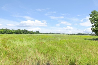 Welcome to 228 extraordinary acres in the heart of Whitesboro - photo 6