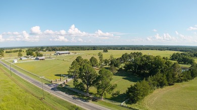 Welcome to 228 extraordinary acres in the heart of Whitesboro - photo 8