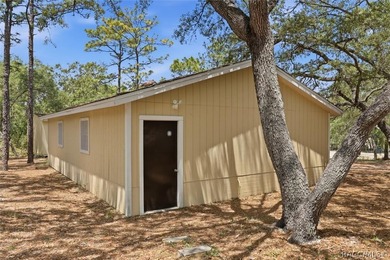 Space, Privacy & Room to Live - 2.5 Acres in Homosassa; Bring - photo 38