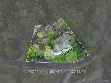 Perched in Webb Mountain Estates with breathtaking views of Lake - photo 45