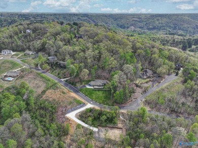 Perched in Webb Mountain Estates with breathtaking views of Lake - photo 47