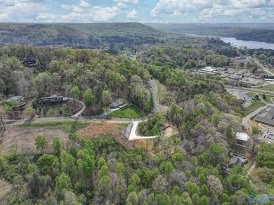 Perched in Webb Mountain Estates with breathtaking views of Lake - photo 48