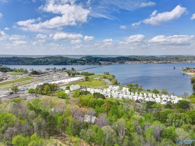 Perched in Webb Mountain Estates with breathtaking views of Lake - photo 49