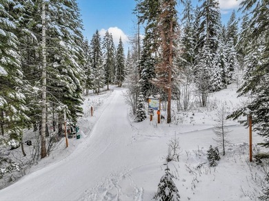 Tamarack Resort Estate Homesite. Tucked away at the end of a - photo 4