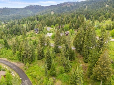 Build your mountain retreat in one of Tamarack Resort's most - photo 4