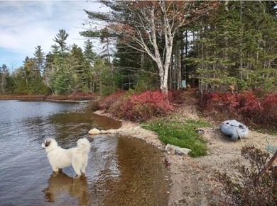Lake Acreage For Sale in Wesley, Maine