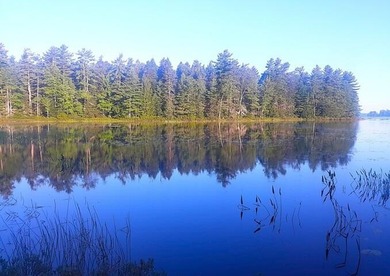 Welcome to your dream waterfront property nestled on the serene - photo 10