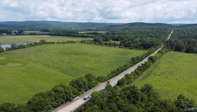 32 acres with a pond located just off of US Highway 72 just 22 - photo 11