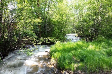 Conveniently located in Beaver Creek Village, this one-bedroom - photo 16