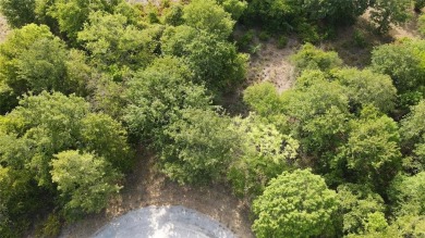 Lake Whitney Lot For Sale in Whitney Texas