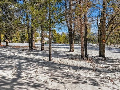 Located just beyond Jussilo Bow Pond, this exceptional estate - photo 4