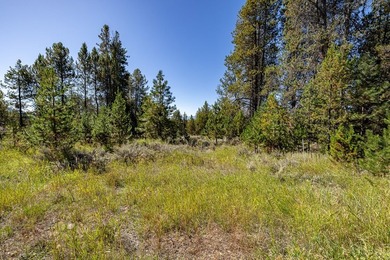 Located just beyond Jussilo Bow Pond, this exceptional estate - photo 6