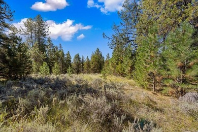 Located just beyond Jussilo Bow Pond, this exceptional estate - photo 7