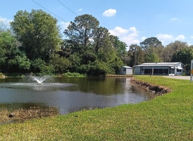 Lake Home For Sale in Eustis, Florida