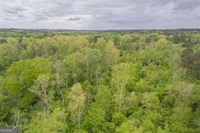 2 ACRES OF LAND LOCATED AT THE AMAZING LAKE CAPRI COMMUNITY! - photo 14
