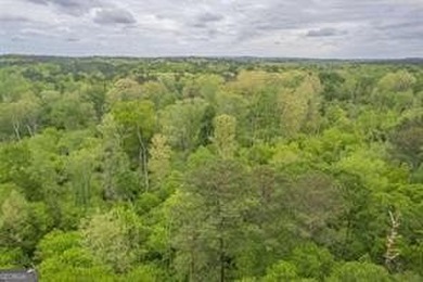 2 ACRES OF LAND LOCATED AT THE AMAZING LAKE CAPRI COMMUNITY! - photo 17