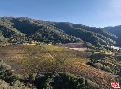 Set within the Monterey County American Viticultural Area, 20300 - photo 22