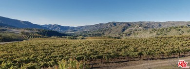 Set within the Monterey County American Viticultural Area, 20300 - photo 23