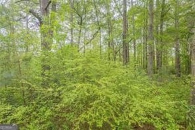 2 ACRES OF LAND LOCATED AT THE AMAZING LAKE CAPRI COMMUNITY! - photo 25