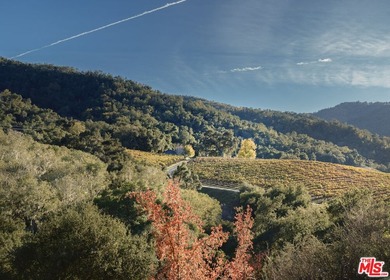 Set within the Monterey County American Viticultural Area, 20300 - photo 28