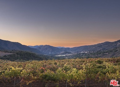 Set within the Monterey County American Viticultural Area, 20300 - photo 29
