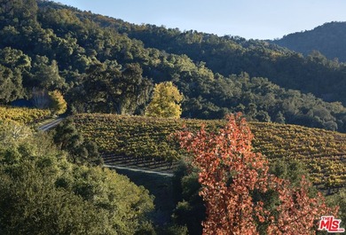 Set within the Monterey County American Viticultural Area, 20300 - photo 30
