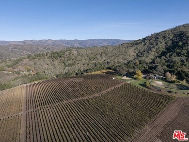 Set within the Monterey County American Viticultural Area, 20300 - photo 34