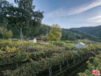 Set within the Monterey County American Viticultural Area, 20300 - photo 36