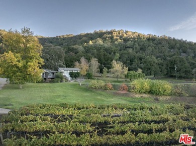 Set within the Monterey County American Viticultural Area, 20300 - photo 37