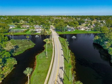 Virtually Staged. Lowest-priced home currently available in - photo 46