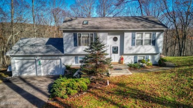 Lake Home For Sale in Bushkill, Pennsylvania