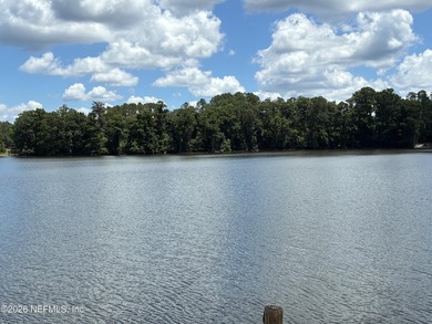 Experience the best of waterfront living in this beautiful home - photo 29