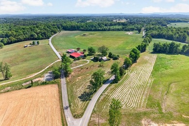 Nestled in the rolling hills of Tennessee, this historic cabin - photo 9