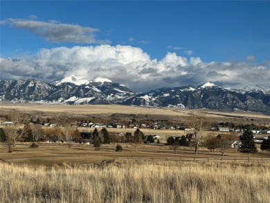 Madison River Acreage For Sale in Ennis Montana