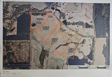 Beautiful 12+/- acres of cleared pastureland, ready for your - photo 1